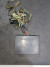 б/у Suzuki DT 75-85 коммутатор 32900-95630-000