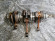 б/у Yamaha 60-70 коленчатый вал в сборе 6H3-11400-11-00 б/у Yamaha 60-70 коленчатый вал в сборе 6H3-11400-11-00