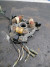 б/у Yamaha 40-50 основание с катушками в сборе 6H5-85560-02-00