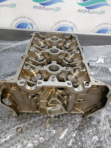 б/у Suzuki DF40-50 головка блока цилиндров 11100-87J02-019