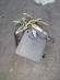 б/у Yamaha 40-50 коммутатор 6H5-85540-01-00 б/у Yamaha 40-50 коммутатор 6H5-85540-01-00