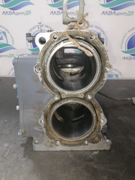 б/у Yamaha 55B блок цилиндров 697-15100-02-94 б/у Yamaha 55B блок цилиндров 697-15100-02-94